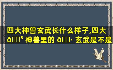 四大神兽玄武长什么样子,四大 🌳 神兽里的 🕷 玄武是不是乌龟